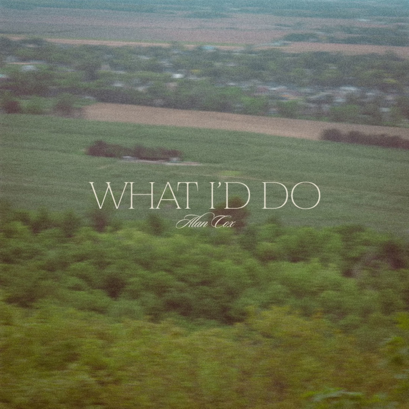 What I'd Do (Single) by Alan Cox