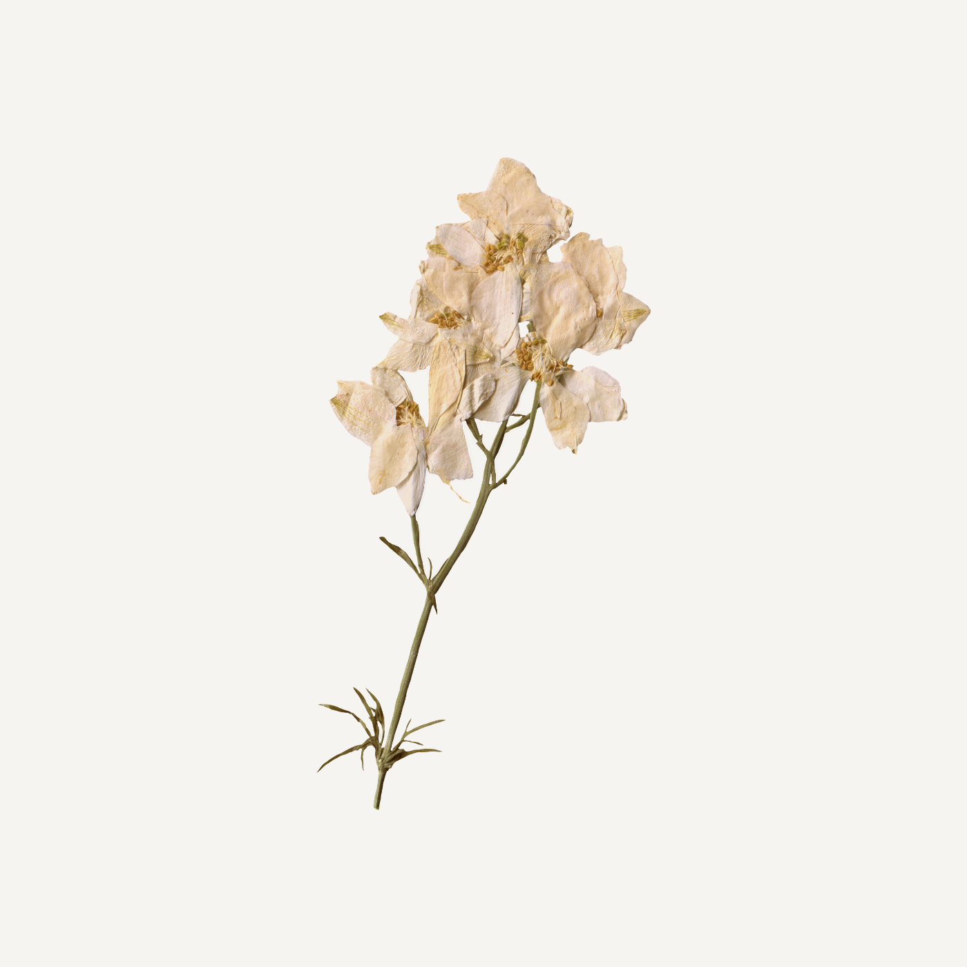 Only Chance I Had (Single) by Alan Cox