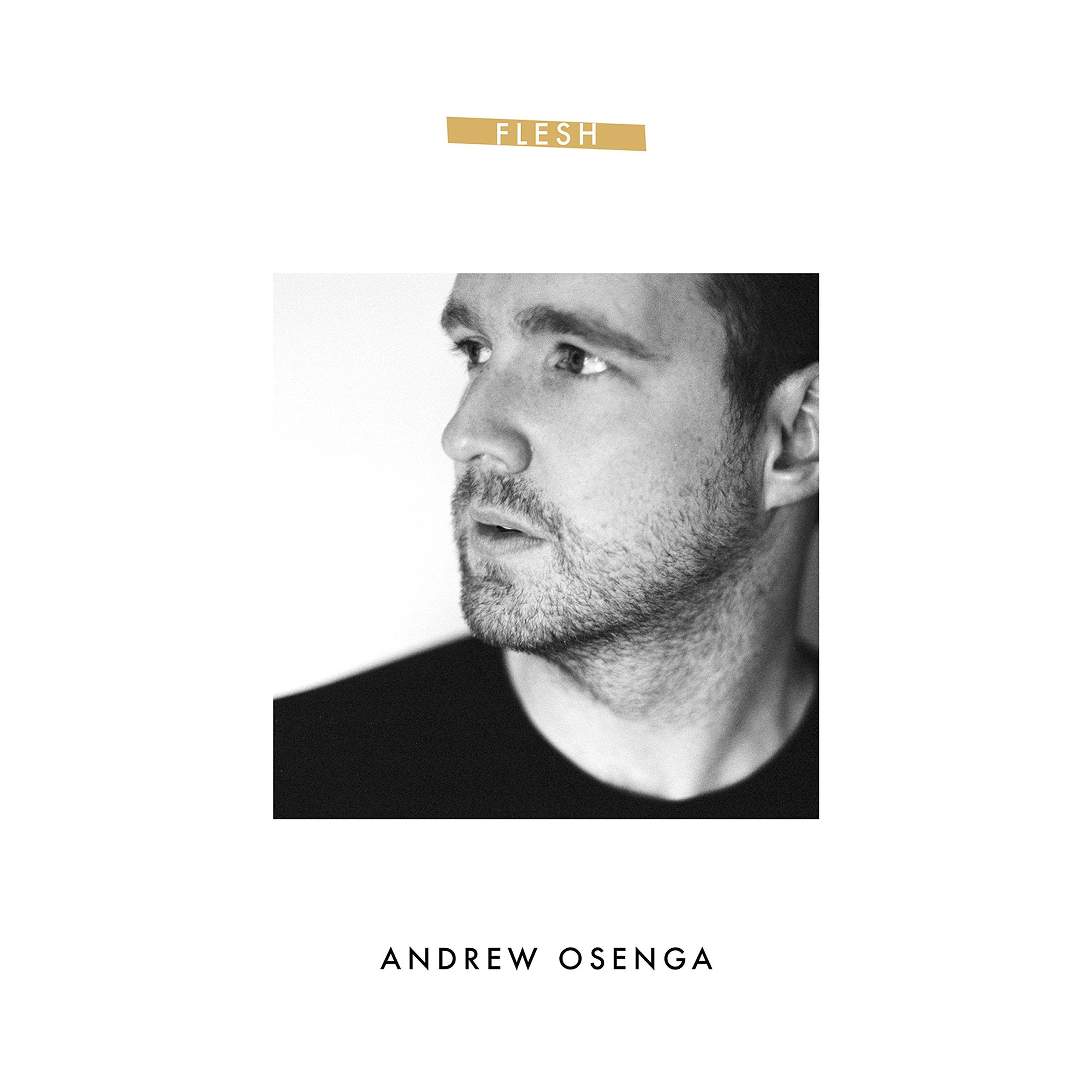 Flesh - EP by Andrew Osenga