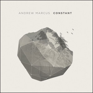 Constant by Andrew Marcus