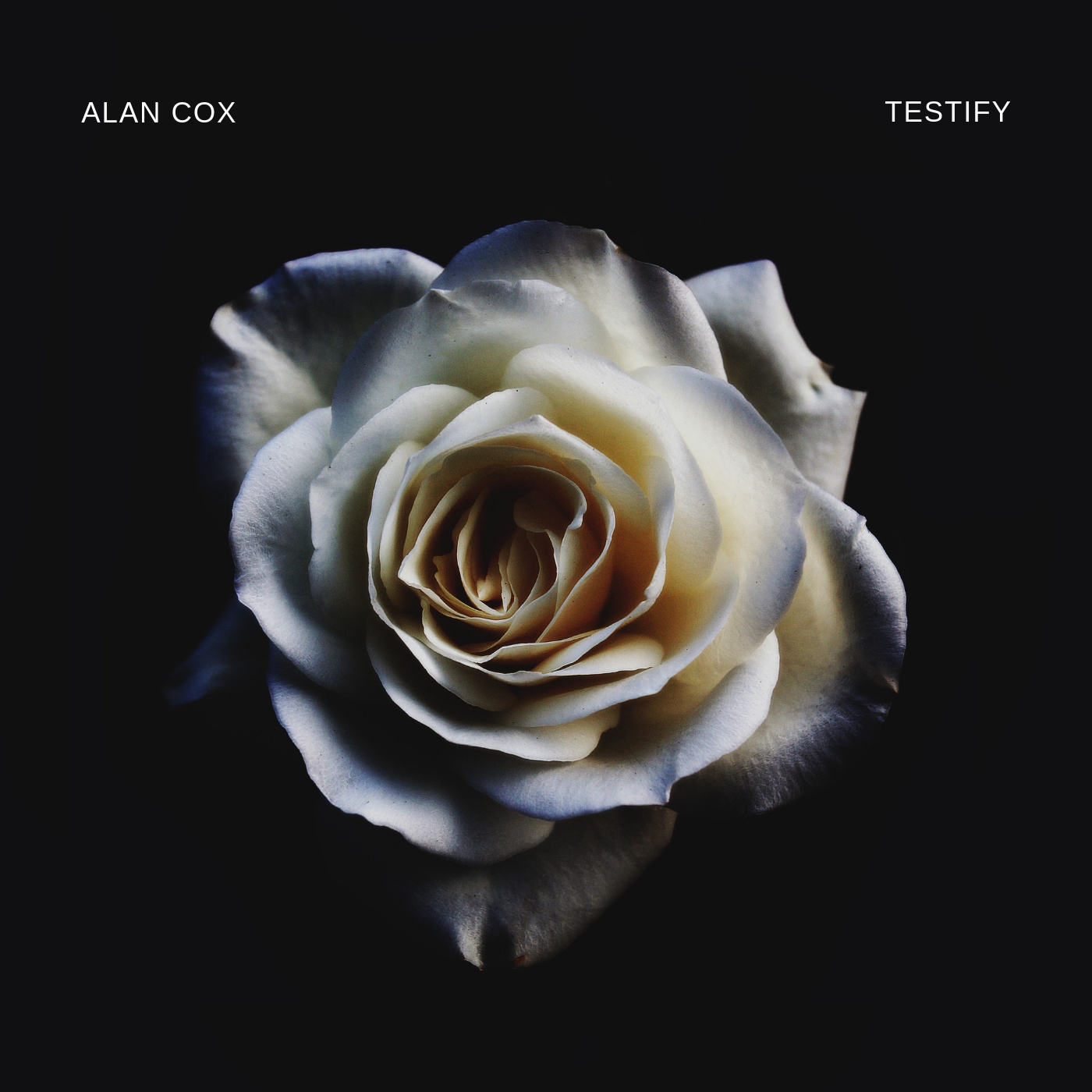 Testify (Single) by Alan Cox