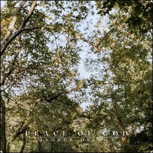 Peace of God (Single) by Andrew Osenga