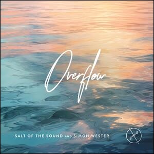 Overflow (feat. Simon Wester) (Single) by Salt Of The Sound