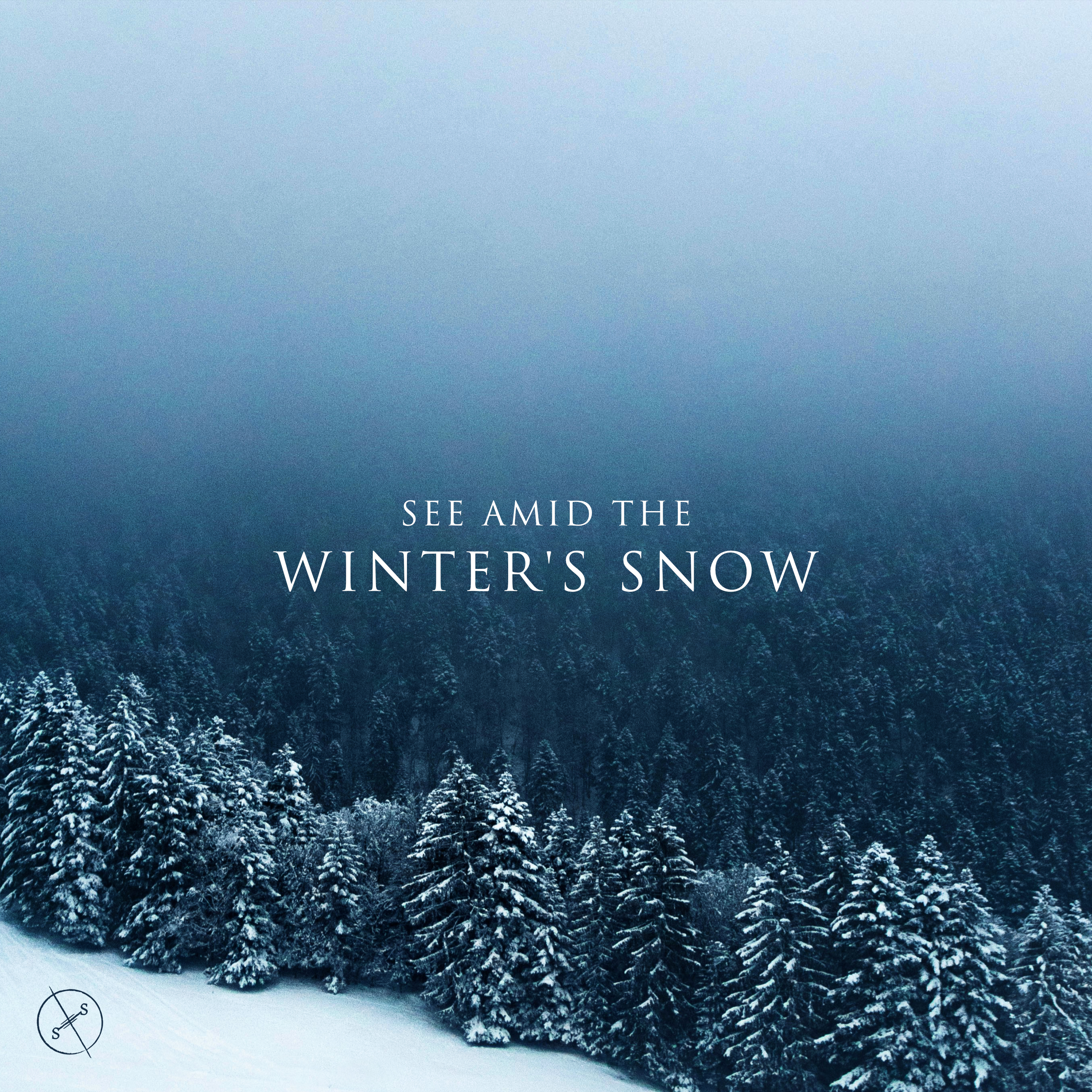 See Amid the Winter's Snow (Single) by Salt Of The Sound