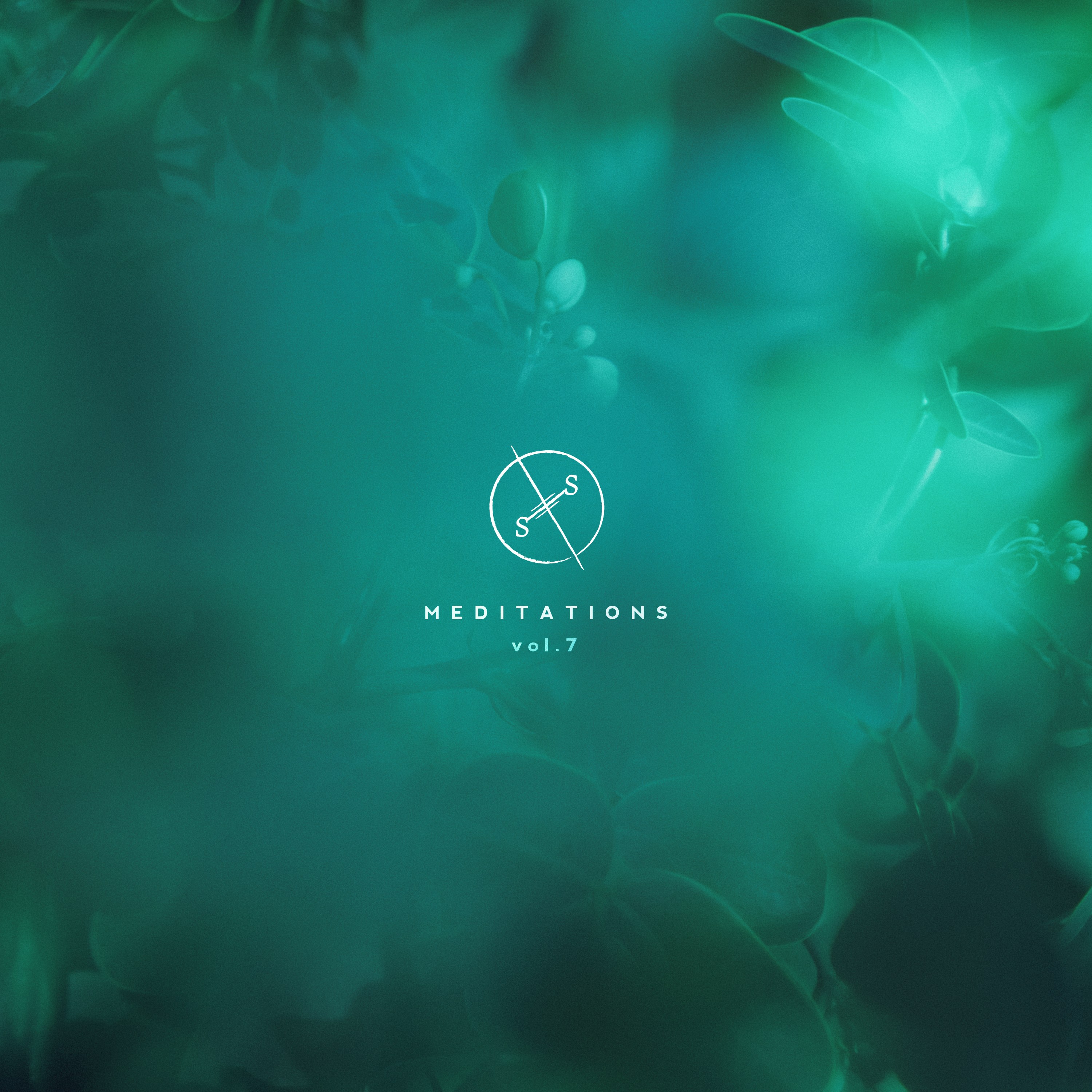 Meditations, Vol. 7 by Salt Of The Sound