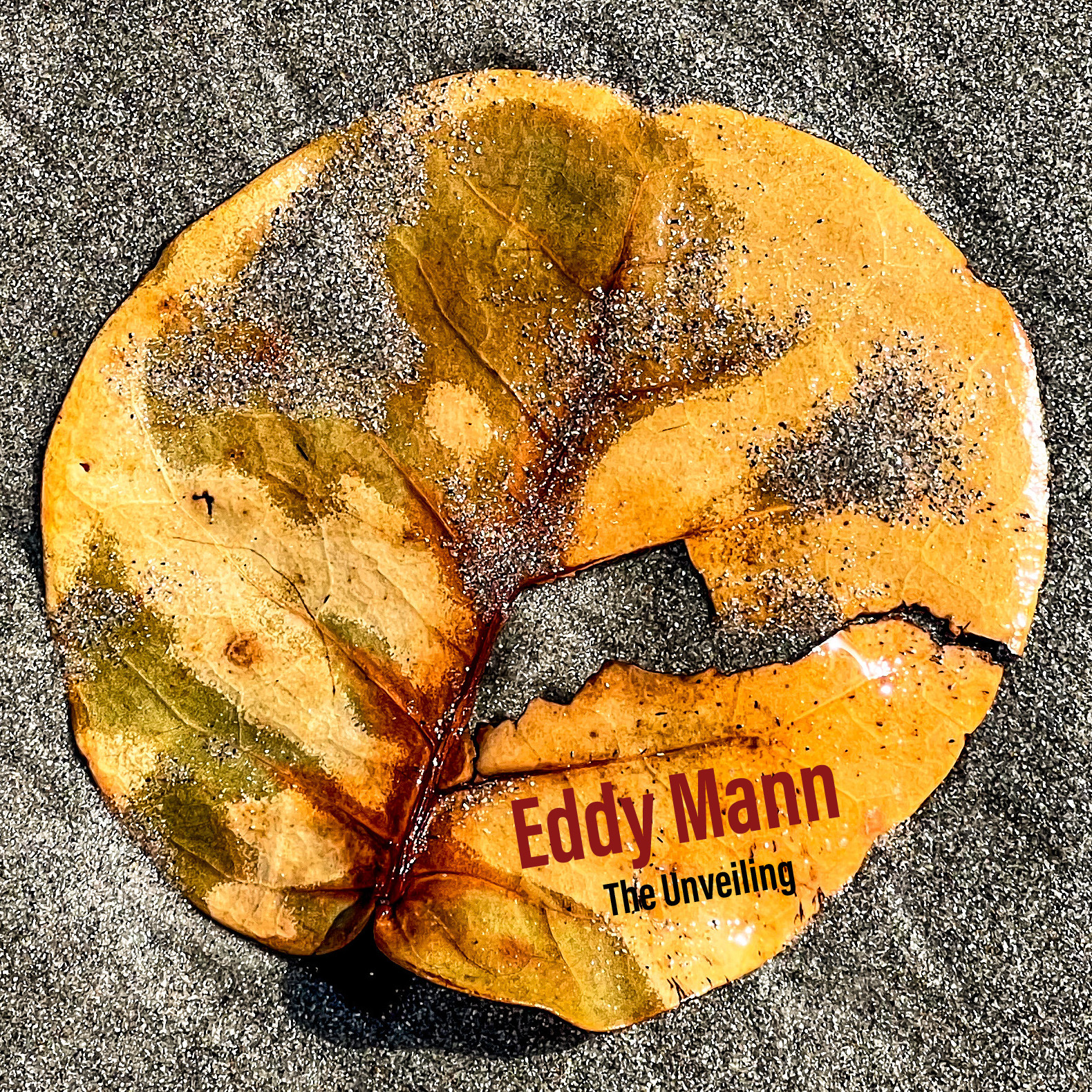 The Unveiling Album Review by Eddy Mann