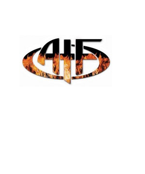 Acquire The Fire Christian Music Artist Profile