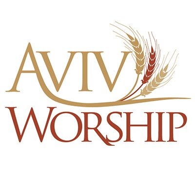 Aviv Worship Christian Music Artist Profile