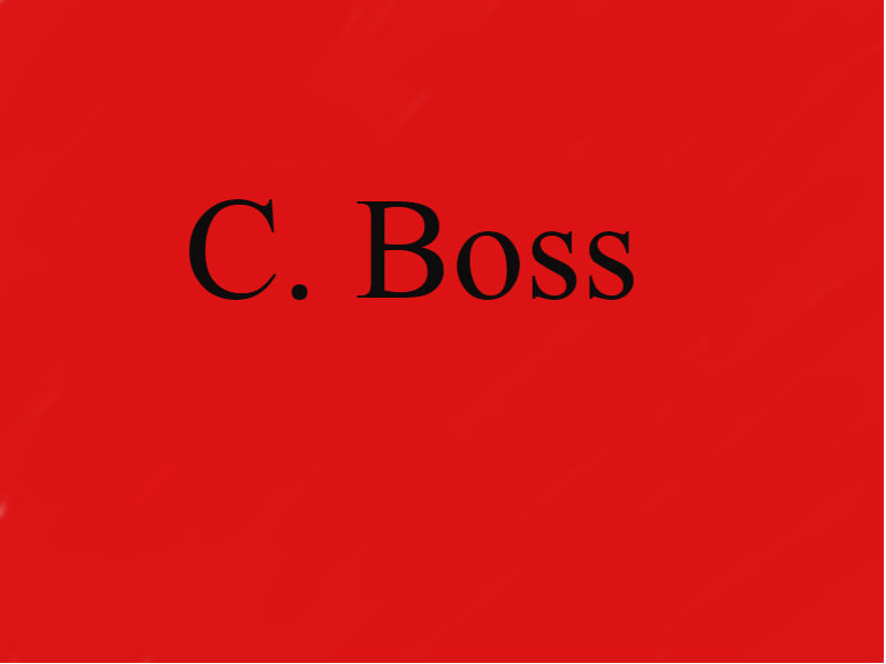 C. Boss Christian Music Artist Profile